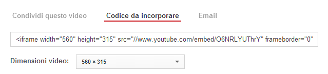 Wordpress condivisione video youtube personalizzato