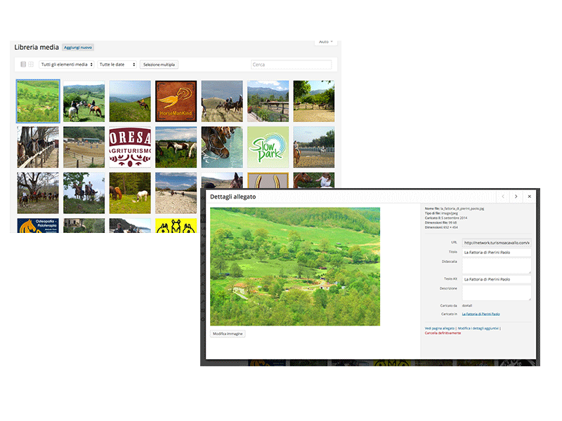 Wordpress 4 - Gestione Libreria media