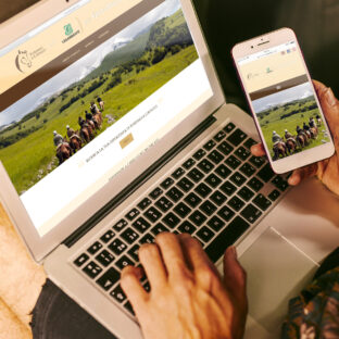 Turismoacavallo.com · Sito web